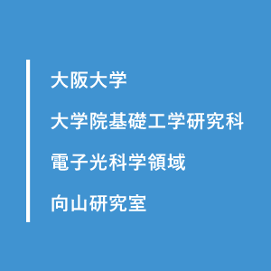 大阪大学 大学院基礎工学研究科 電子光科学領域 向山研究室
